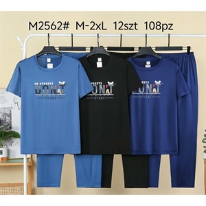 Piżama męska (M-2XL)