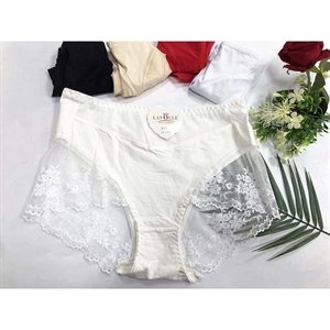 Majtki damskie 2XL-4XL