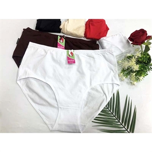 Majtki damskie XL-3XL