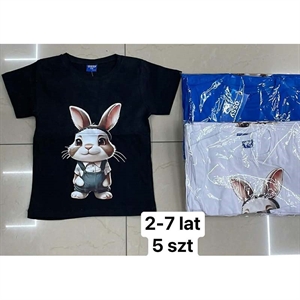 Bluzka dziecięca 2-7