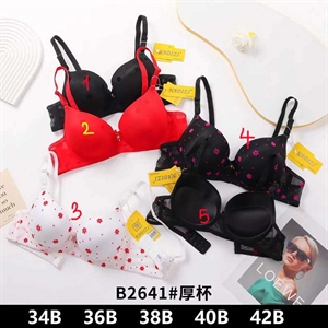 Biustonosz Push up B