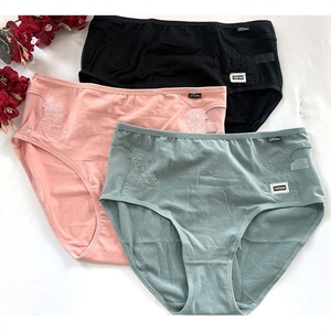 Majtki damskie 2XL-5XL