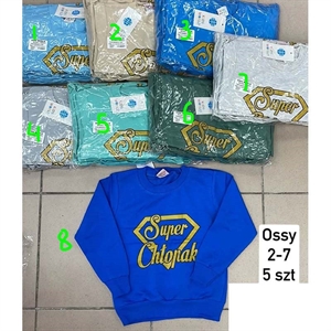 Bluza chłopięca 2-7