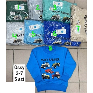 Bluza chłopięca 2-7