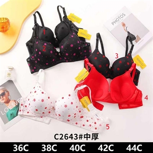 Biustonosz Push Up  C