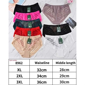 Majtki damskie  XL-3XL