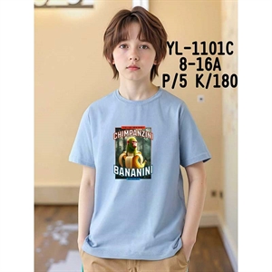 Koszulka chłopięca (8-16)