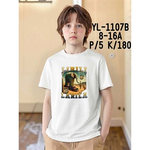 Koszulka chłopięca (8-16)