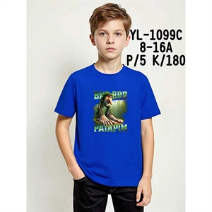 Koszulka chłopięca (8-16)