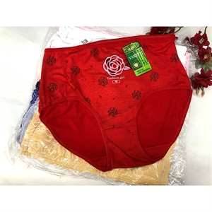 Majtki damskie XL/2XL-3XL/4XL