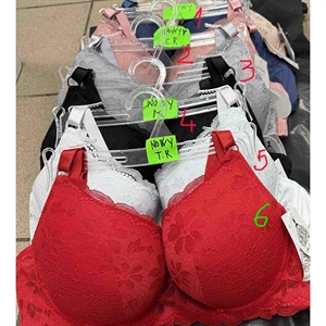 Biustonosz  D