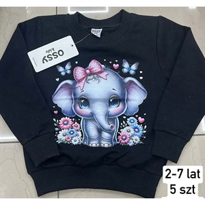 Bluza dziecięca 2-7