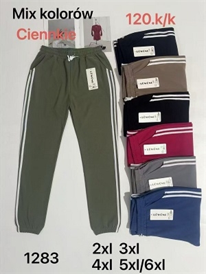 Spodnie (2XL-6XL)