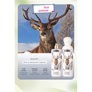 Fragrance mist brume perfume 250ml