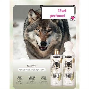 Fragrance mist brume perfume 250ml