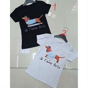 Koszulka dziewczęca  6-16 lat