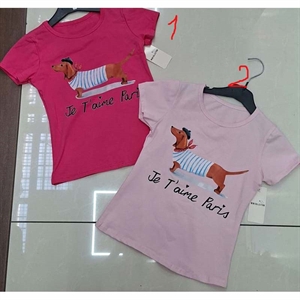 Koszulka dziewczęca  6-16 lat