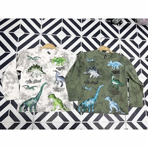 Bluzka chłopięca  3-8 lat