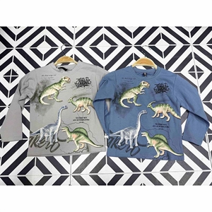 Bluzka chłopięca  1-5 lat