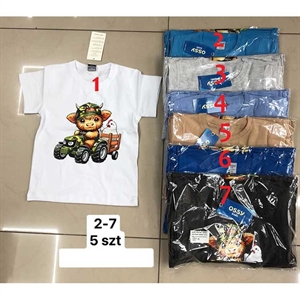 Koszulka chłopięca (2-7)