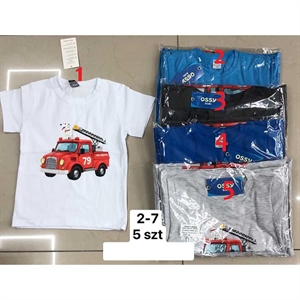 Koszulka chłopięca (2-7)