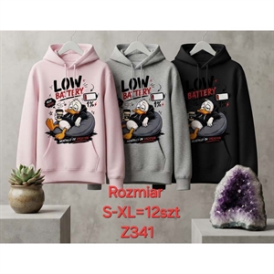 Bluza damska (S-XL)