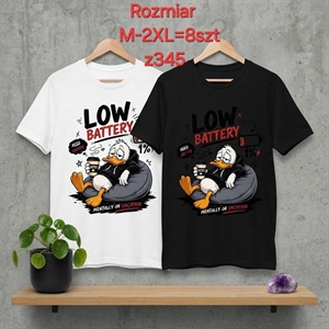 Koszulka damska (M-2XL)