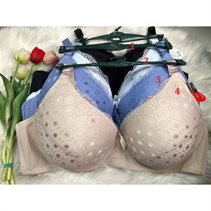 Biustonosz F