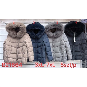 Kurtka damska Big Size  3XL-7XL