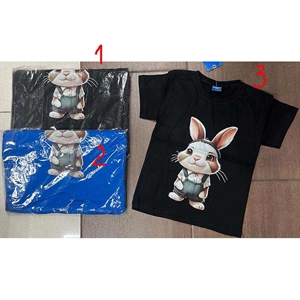 Bluzka dziewczęca  2/3-6/7