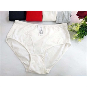 Majtki damskie XL-3XL