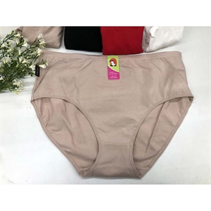 Majtki damskie XL-3XL