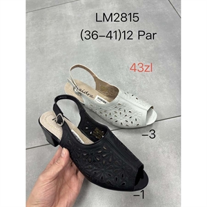 Czółenka damska  36-41