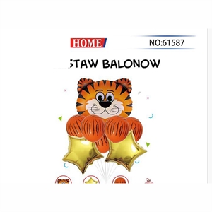 Zestaw balonów (5szt)