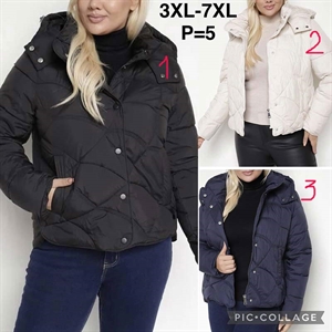Kurtka damska Big Size  3XL-7XL