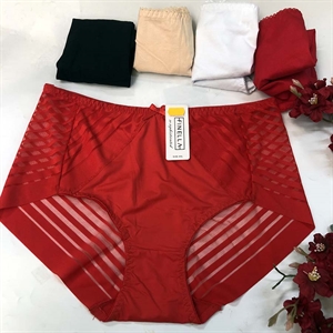 Majtki damskie 2XL-4XL