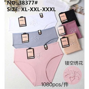 Majtki damskie XL-3XL