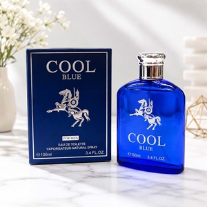 Perfumy męskie 100ml