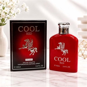 Perfumy męskie 100ml