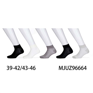 Skarpetki męskie  39-42/43-46