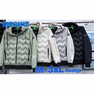 Kurtka męska (M-3XL)