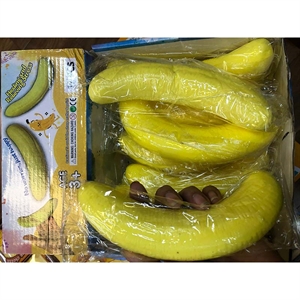 Zabawka