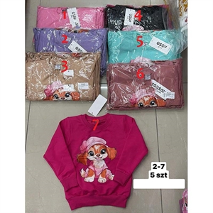 Bluza dziewczęca 2-7 lat