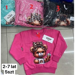 Bluza dziewczęca 2-7 lat