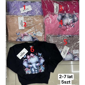 Bluza dziewczęca 2-7 lat