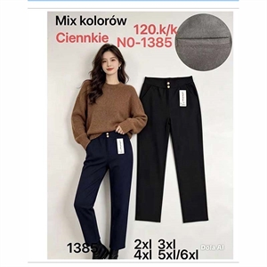 Spodnie damskie ocieplane 2XL-5/6XL
