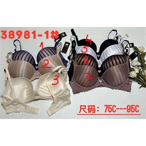 Biustonosz Push Up  C