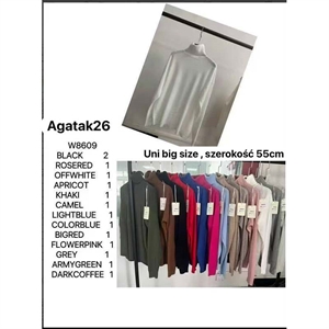 Sweter damski z golfem