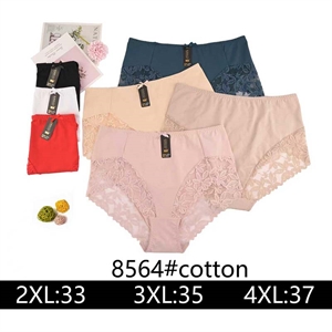 Majtki damskie  2XL-4XL