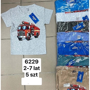 Bluzka chłopięca 2-7 lat